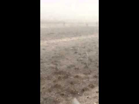 شاهد بردية شمال بيشة الغزيرة أبريل 2016