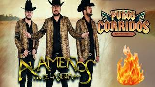 🎯 ALAMEÑOS DE LA SIERRA 🤠 – PUROS CORRIDOS BRAVOS Y RANCHEROS 💥 30 ÉXITOS INMORTALES screenshot 4