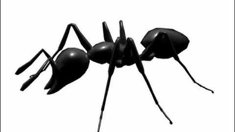 Ant Walk-Cycle