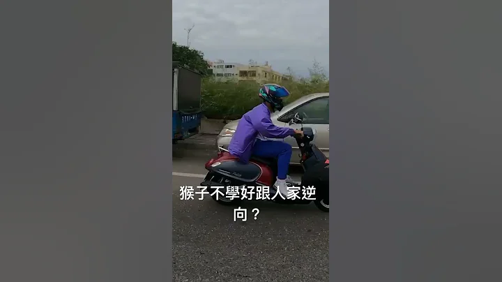 高中生猴子没驾照还逆向🐒🐒🐒 - 天天要闻