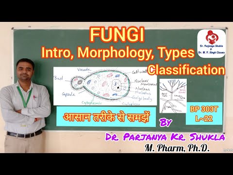 Morphology & Classification of Fungi | Fungi: Introduction, Types & Examples | BP 303T | L~22