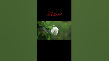 Surat Al-Fatihah (The Opener) | Mishary Rashid Alafasy | مشاري بن راشد العفاسي | سورة الفاتحة❤️