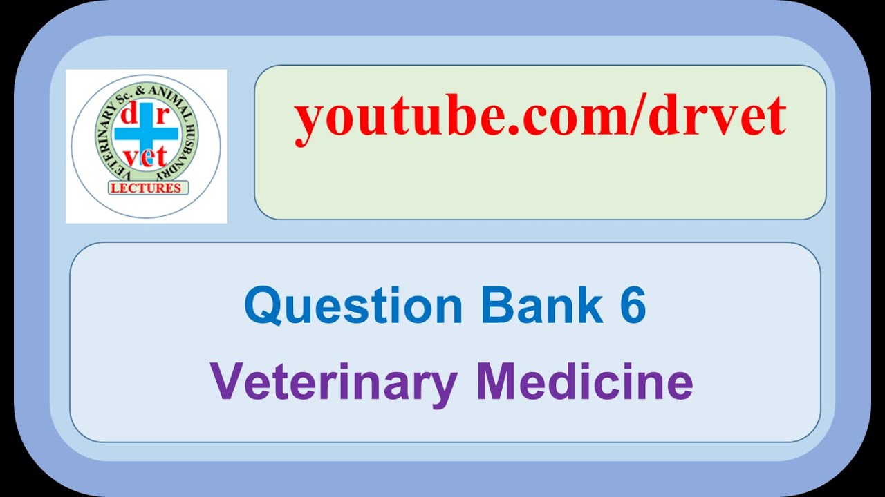 Question Bank 6 Veterinary Medicine YouTube