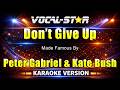 Don't Give Up - Peter Gabriel & Kate Bush KARAOKE