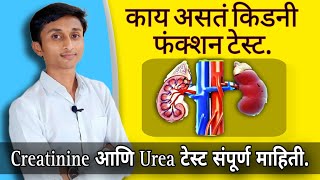 KFT/RFT Test रिपोर्ट Creatinine Urea test | किडनी टेस्ट.