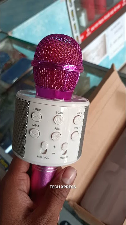 Wireless Mic With Recording/ Short Video Ws 858