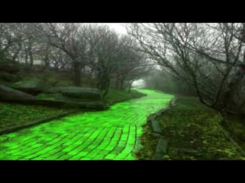 П.Д.Успенский "В поисках чудесного" глава 13 из 18 - YouTube