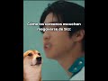 XD//#Jihyo_Fresita21 #humor #straykids #skz #felix #hyunjin #han #megaverse #comedia #fyp #paratiii