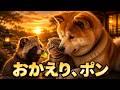 【秋田犬と子猫】森へ帰ったあの子が、もう一度｜ゲンとモカ 第10話「おかえり、ポン」