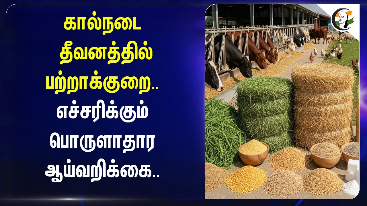 ⁣கால்நடை தீவனத்தில் பற்றாக்குறை..எச்சரிக்கும் பொருளாதார ஆய்வறிக்கை.. | TN Govt | Minister Kamali