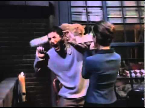 FRIENDS - Cat Attacks Ross