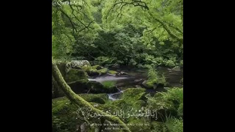 سورة الفاتحة بصوت الشيخ نايف الفيصل