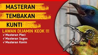 MASTERAN PLECI - SOGON - KONIN - KOWUL- KINOI TEMBAKAN KUNTILANAK #masteranburung