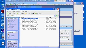 Neuron + BizTalk = ESB