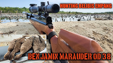 HUNTING BELIBIS EMPANG