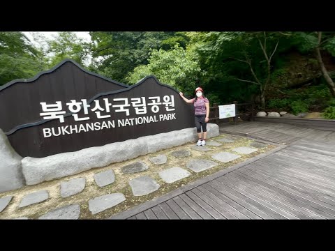 Video: Grønt Boligdesign I Seoul [billeder] - Matador Network