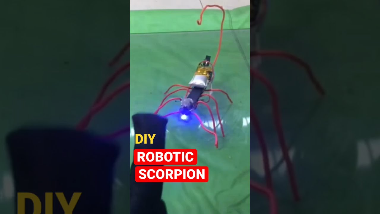 Diy Robotic Scorpion # short video
