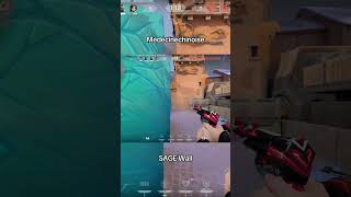 Sage Wall #valorant #valorantclips #gaming #sagewalls