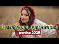 ЦВІТЕ ТЕРЕН ЦВІТЕ ТЕРЕН РЕМІКС 2026 НОВЕ ЗВУЧАННЯ НАРОДНИХ ПІСЕНЬ