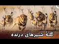 وحشی ترین حیوانات مگا قسمت ۱ مستند فارسی 