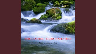 Reflections in Streamside Echo