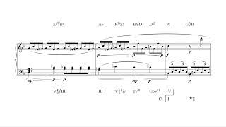 Excerpts from Beethoven Piano Sonata No. 6 (Harmonic Analysis)