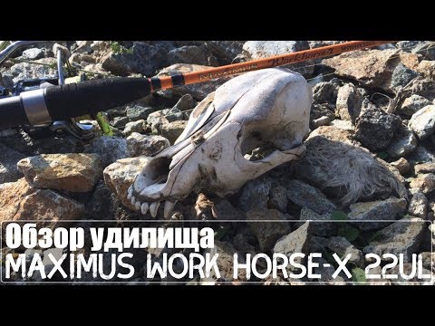 Обзор удилища Maximus Work Horse-X 22UL