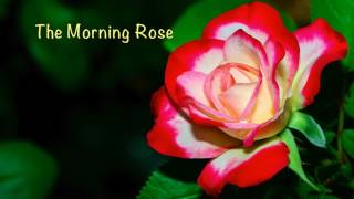 The Morning Rose - Beautiful Piano screenshot 5