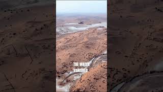 They Scanned Beneath the Sahara… And Found a Lost World