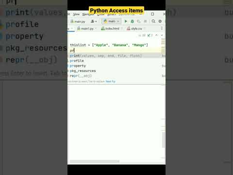 python list |