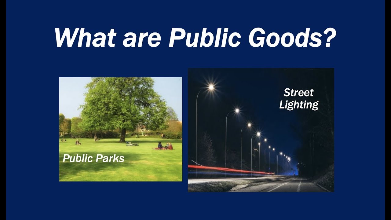 What Are Public Goods? Definition and Meaning