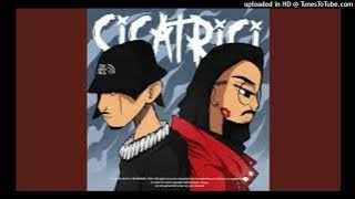 Mgl - Cicatrici ft Swisher (clean)