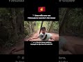 Guerrilla war me Vietnamese ka jungle advantage | Cu Chi Tunnels