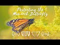 Butterfly Conservation in the Niagara River Corridor