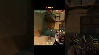 This Sage Trick Wins Every Round Part 19 💀 #valorant #valorantshorts #valorantclips