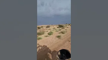 مايذوق العز ويذوق طعم الانتصار واحد ضيع طريق الله و ماعظمه 