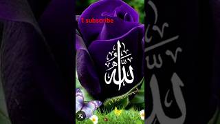 Mohammed saw#beautiful name#Allah Ka#video #shorts