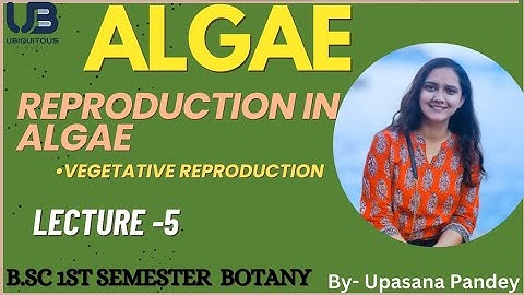 Vegetative Reproduction in Algae| Reproduction in Algae |BSc first semester Botany | Algae