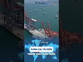 Phân loại về tàu biển xuất nhập khẩu #tradeint #tintuc #importexportmanagementb