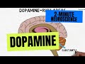 2-Minute Neuroscience: Dopamine