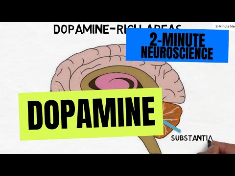 Neuroscience: Dopamin dalam 2 Menit