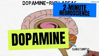 2-Minute Neuroscience: Dopamine