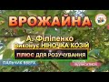 ВРОЖАЙНА ПЛЮС ВРОЖАЙНА ПЛЮС