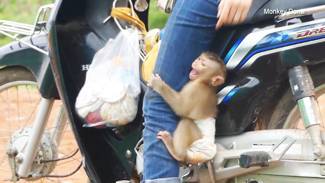 Donal Cry Run To Hug Mom Leg He Want To Ride Motorcycle With - YouTube