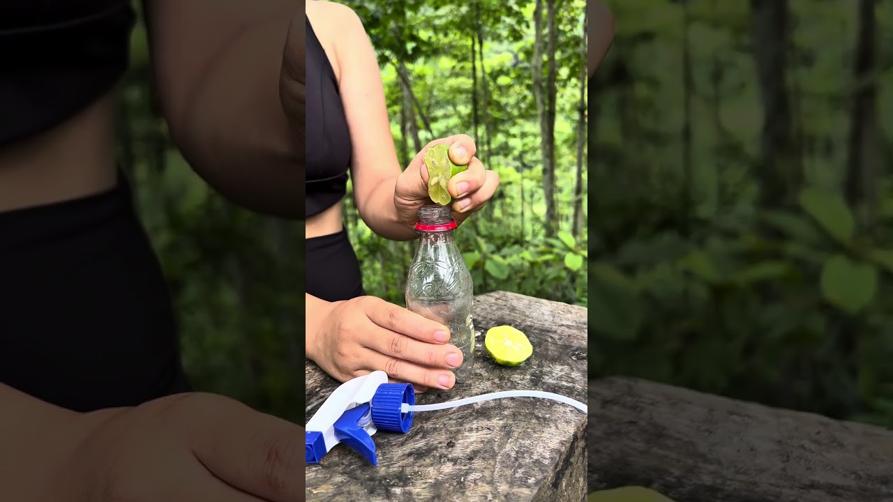 Tips for using lemon to survive in the jungle 