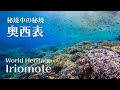 Snorkeling in World Heritage Iriomote | Mariudo | Sakiyama Amitori | シュノーケリング@奥西表（崎山＆網取）