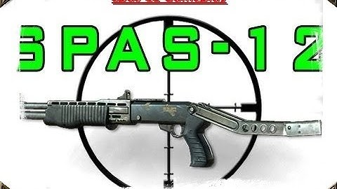 Spas-12 Quad Feed on Terminal MW3