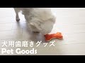 ペット用グッズ！犬用歯磨きへちまをパパにもらったんだ-Pet toys ! Toothbrushing sponge gourd of the dog