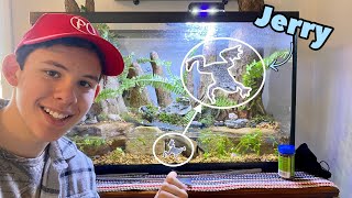 Getting *New* African Dwarf Frogs for the Paludarium!!