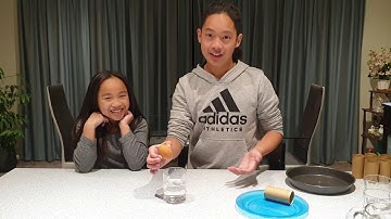 Egg Drop Inertia Challenge